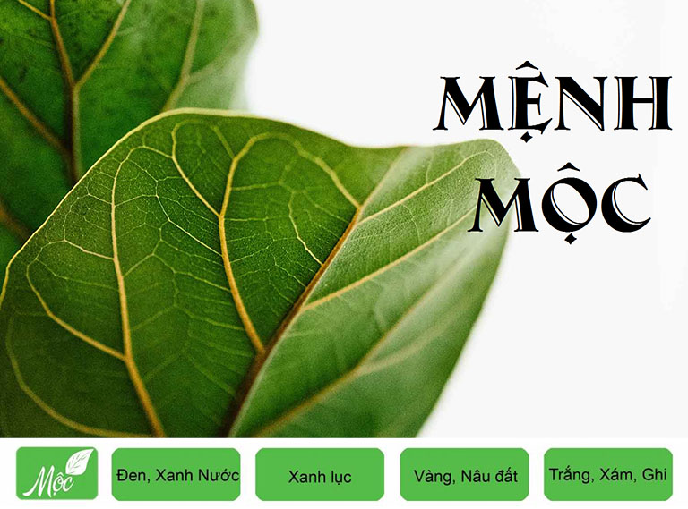 mệnh mộc đeo vòng phong thuỷ màu gì mệnh mộc đeo vòng phong thuỷ màu gì